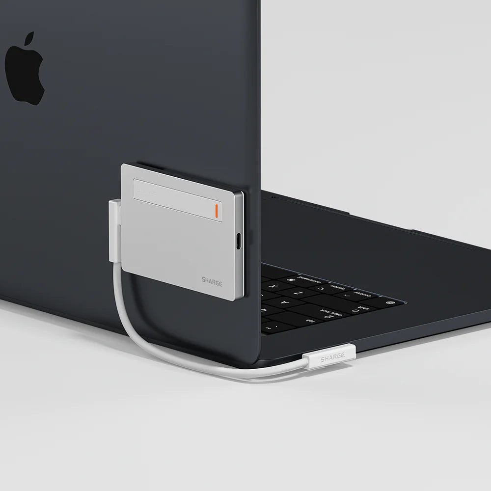 Disk Plus SSD kutusu için manyetik sabitleyici modül